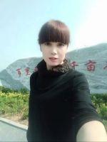 阴阳锏