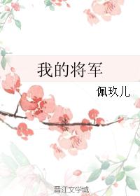我的将军