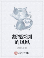 凝视深渊的凤凰