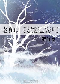 老师，我能追您吗