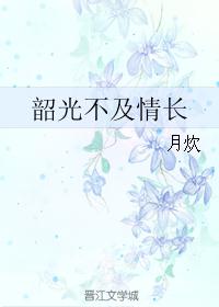 韶光不及情长