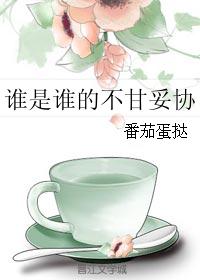 谁是谁的不甘妥协