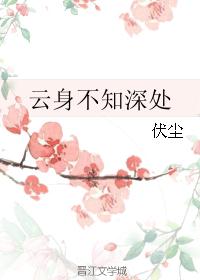 云身不知深处
