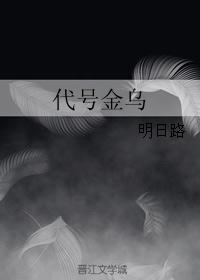 代号金乌