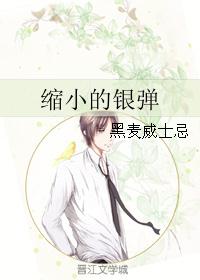缩小的银弹